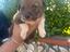 Immagine 6