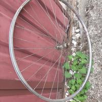 cerchio bicicletta