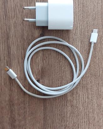 Caricabatterie Apple