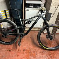 Bike Specialized 2020