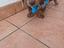 Immagine 9
