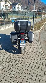 Honda Forza 750 - 2023