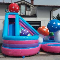 GONFIABILE
