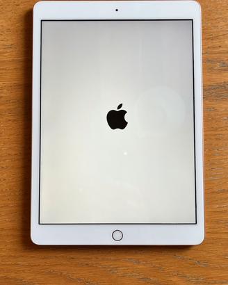 Ipad 8 128gb Wi-Fi A2270