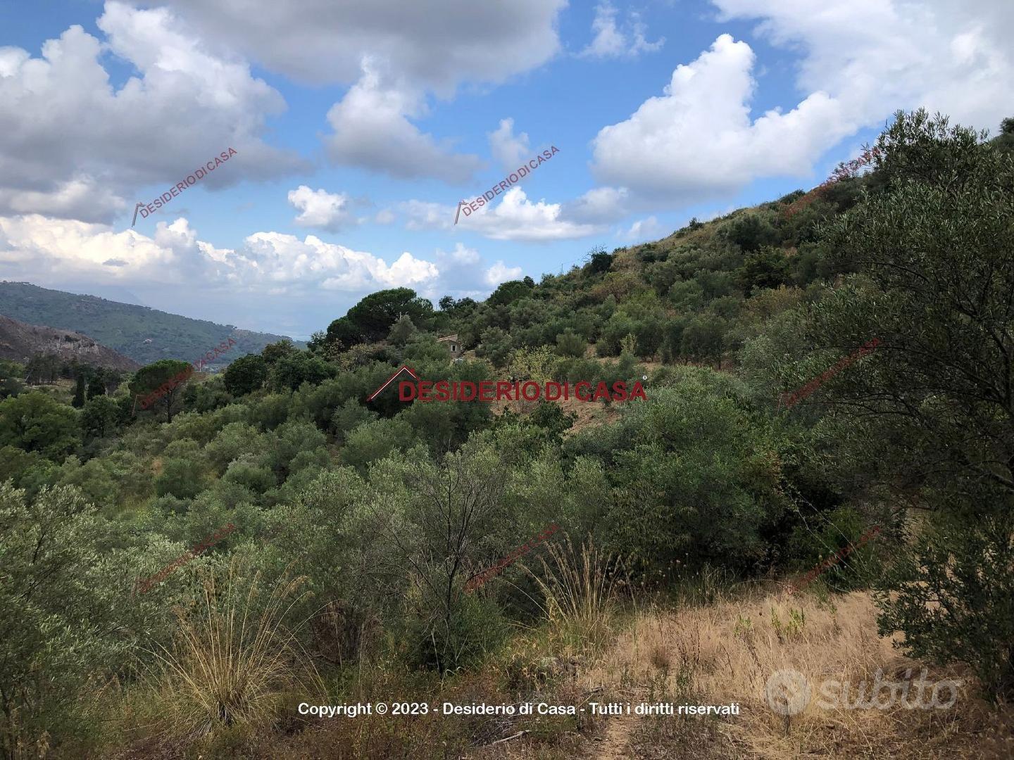 Terreno, Cefalù. - Vista 4