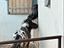 Immagine 4