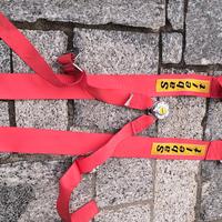 Cintura sicurezza corsa