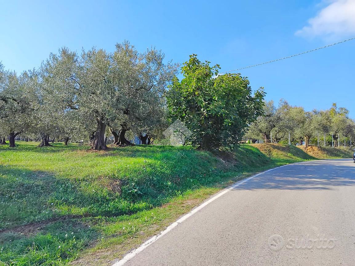 TER. AGRICOLO A MOSCUFO - Altro