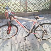 Wilier Triestina 26"