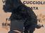 Immagine 4