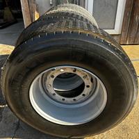 Pneumatici per carrobotte