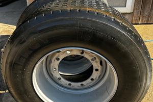 Pneumatici per carrobotte