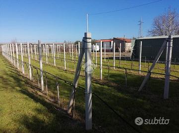 TER. AGRICOLO A MONFORTE SAN GIORGIO