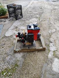motore CM 46 / n