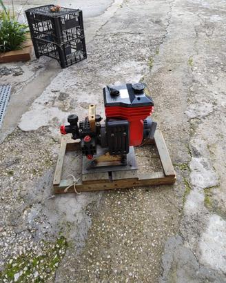 motore CM 46 / n