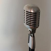 Microfono Shure 55SH II