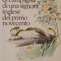 Diario di una signora inglese del primo novecento