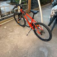 Bici Mountain Bike 24