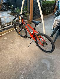 Bici Mountain Bike 24