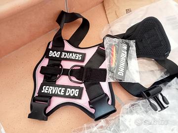 Pettorina cane, guinzaglio, pallina gioco