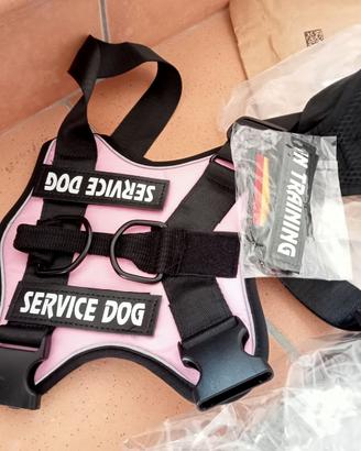 Pettorina cane, guinzaglio, pallina gioco