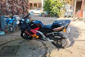 Aprilia RS 50 Extreme 