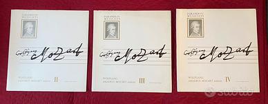 Vinili i GRANDI MUSICISTI