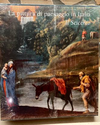 La pittura di paesaggio in Italia Il ‘600( Electa)