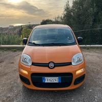 Fiat Panda 1.2 Easy Benzina 2019