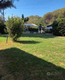 Bilocali in Ansedonia