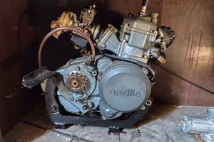 motore rotax 123 Aprilia RS 125