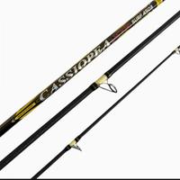 canne da pesca
