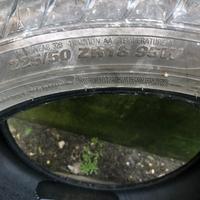 Gomme estive Marshall