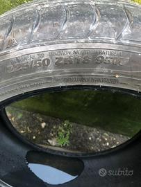 Gomme estive Marshall