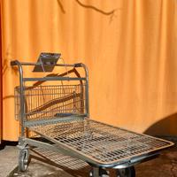 Carrello acciaio zincato con pianale / Cargopack