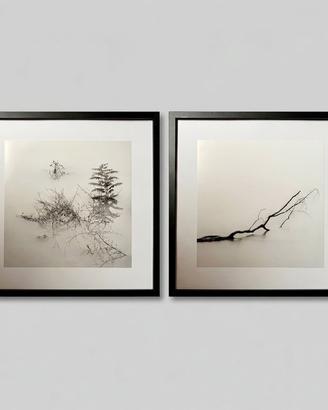 COPPIA DI QUADRI CON FOTOGRAFIE D'AUTORE