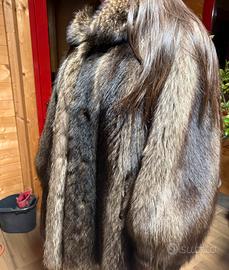 peliccia di marmotta