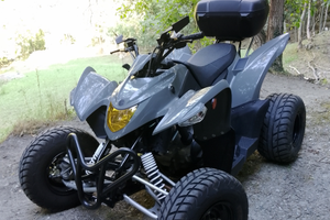 Quad Aeon 400 cobra