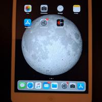 Apple Ipad Mini 16GB Seconda Generazione - Retina