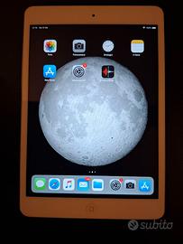 Apple Ipad Mini 16GB Seconda Generazione - Retina