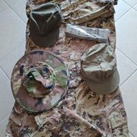 Mimetica vegetata usata