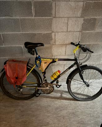 Bicicletta in buono stato