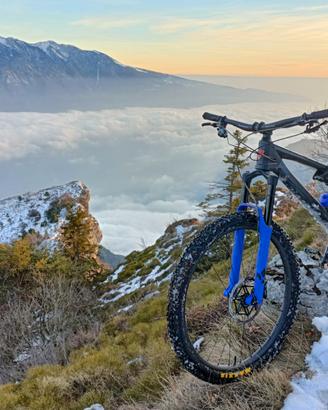 Liteville 301 CL carbon 