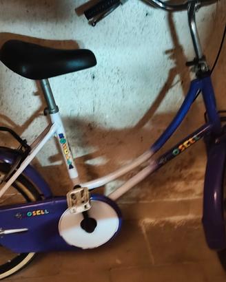 bicicletta 