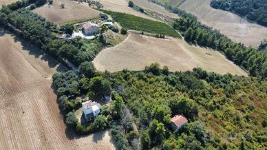 SI VENDE CASALE CON TERRENO DI 43500 mq