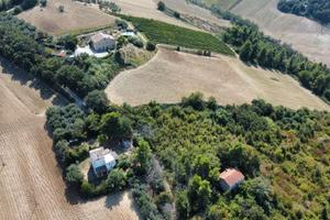 SI VENDE CASALE CON TERRENO DI 43500 mq