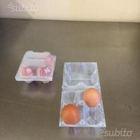51 contenitori da 4 portauova in plastica