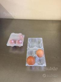 51 contenitori da 4 portauova in plastica