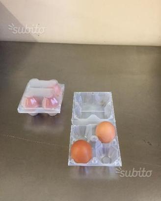 51 contenitori da 4 portauova in plastica