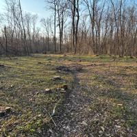 Terreno agricolo boschivo